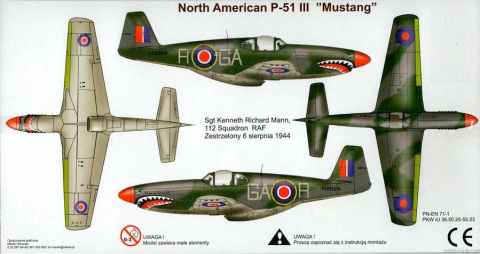 MODEL SAMOLOTU P-51 MUSTANG + KLEJ, PĘDZELKI, PODKŁAD, FARBKI, LAKIER, WASH ... MODEL SAMOLOTU P-51 MUSTANG + KLEJ, PĘDZELKI, PODKŁAD, FARBKI, LAKIER, WASH ...