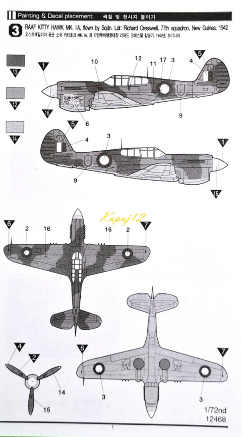 Plastikowy model samolotu do sklejania P-40E Zestaw: farby, klej, lakier Plastikowy model samolotu do sklejania P-40E Zestaw: farby, klej, lakier