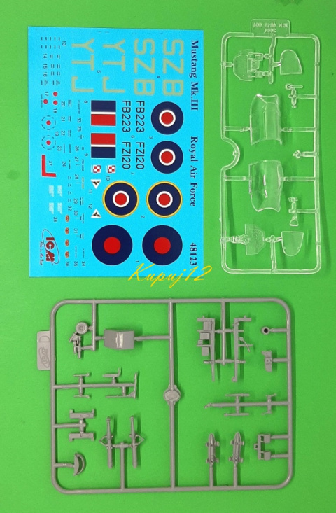 MODEL samolot do sklejania MUSTANG Mk. III Zestaw: farby, klej, pędzelki MODEL samolot do sklejania MUSTANG Mk. III Zestaw: farby, klej, pędzelki