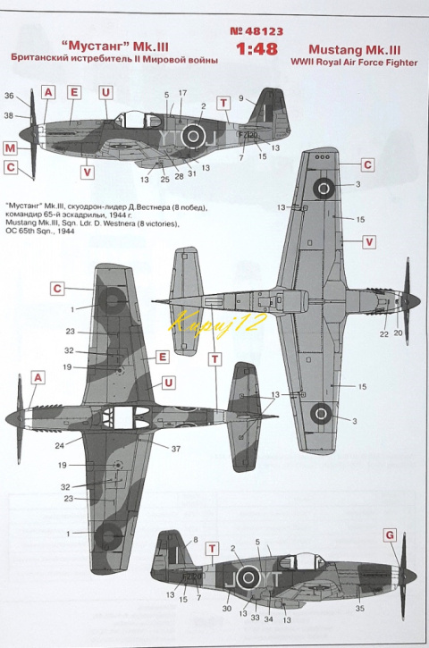MODEL samolot do sklejania MUSTANG Mk. III Zestaw: farby, klej, pędzelki MODEL samolot do sklejania MUSTANG Mk. III Zestaw: farby, klej, pędzelki